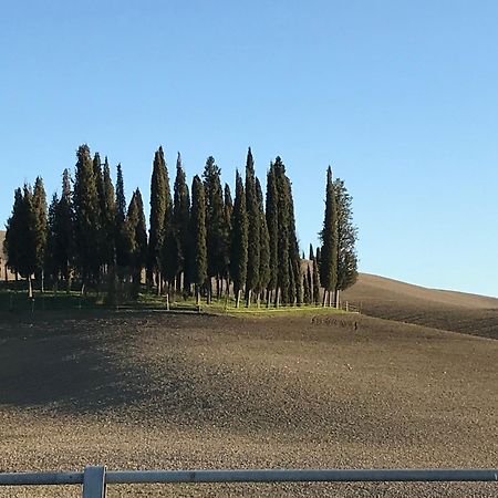 Ferienwohnung Il Giuggiolo Montalcino Exterior foto