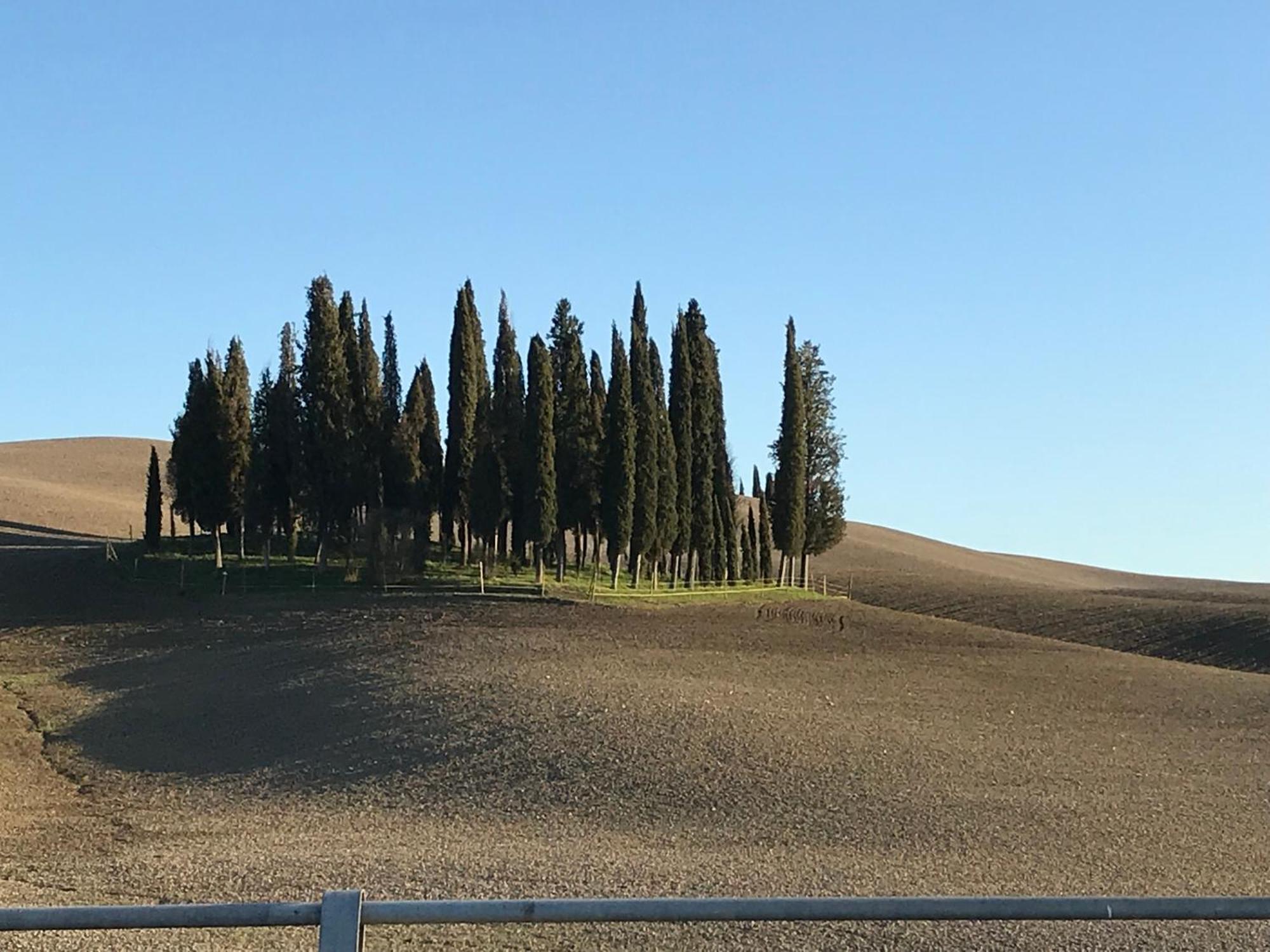 Ferienwohnung Il Giuggiolo Montalcino Exterior foto